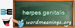 WordMeaning blackboard for herpes genitalis